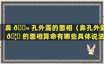 鼻 🌻 孔外露的面相（鼻孔外露 🦁 的面相算命有哪些具体说法）